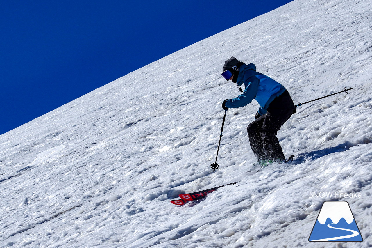 ニセコグラン・ヒラフ DYNASTAR SKI TEST RIDE DAYS Photo Session!!最高の天気に恵まれたニセコに、最高の仲間たちが集まりました☆